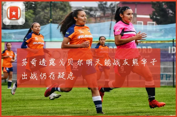 芬奇透露戈贝尔明天能战灰熊华子出战仍存疑虑