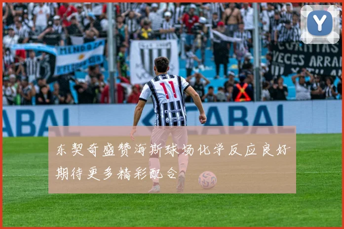 东契奇盛赞海斯球场化学反应良好期待更多精彩配合